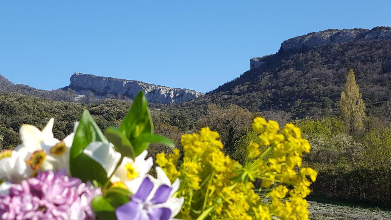 Un Petit Coin De Paradis Le Pegue Exterior foto